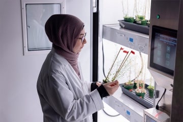 Jenan Noureddine examines plants being grown indoors under a growth lamp