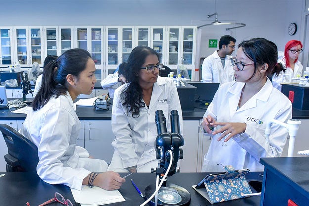 Photo of chemistry students working together in a laboratory