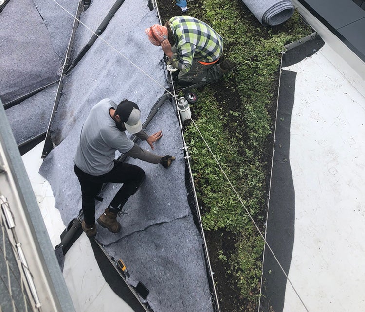 Two men install a felt backing for a green roof on the roof Daniels