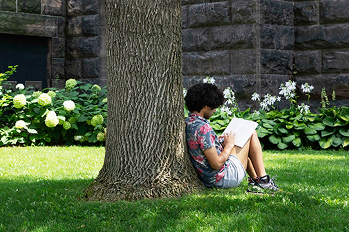 A student sits under a tree reading a book