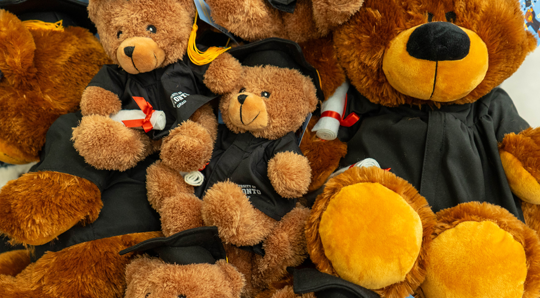 Graduation bear gifts