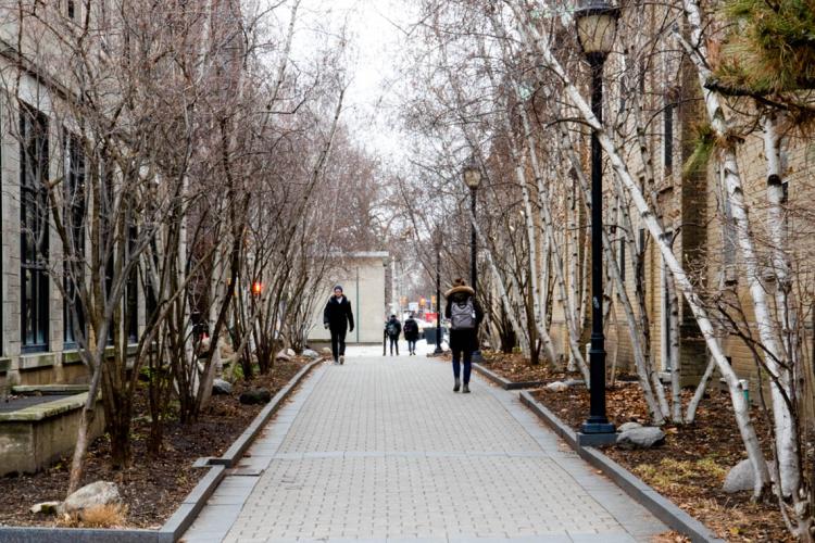 photo of students walking on campus