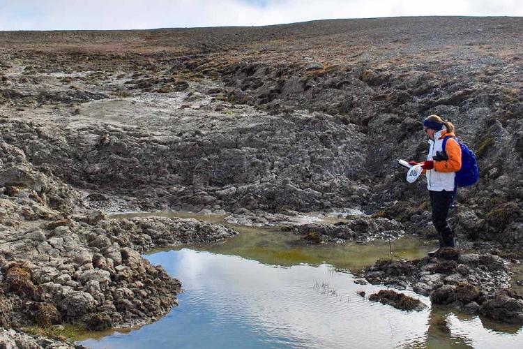 Photo of Arctic pond