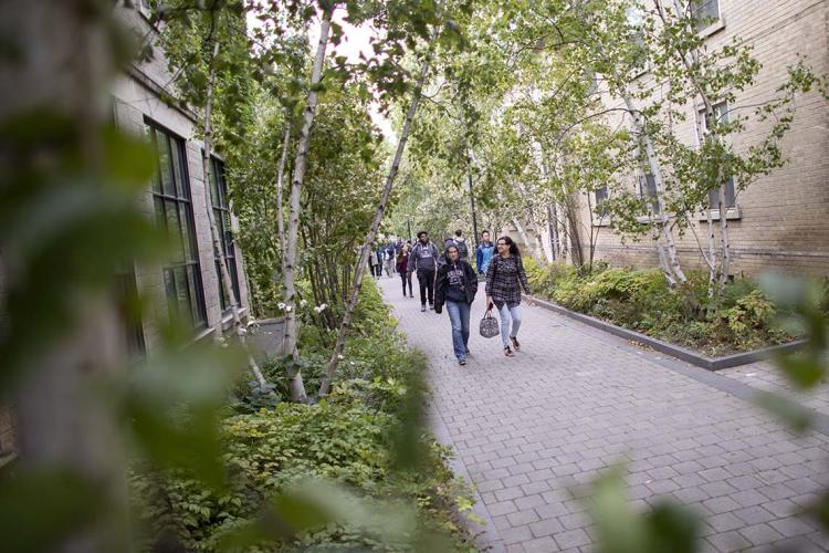 Photo of U of T campus