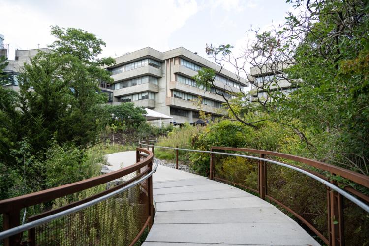 land valley trail leading up to the university of toronto campus