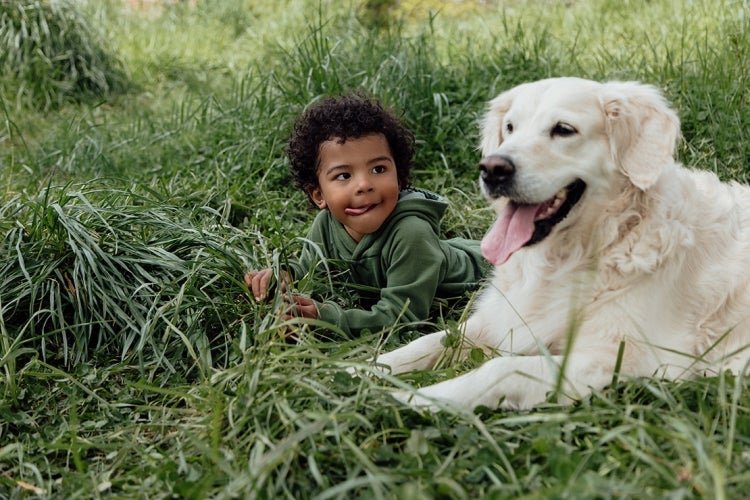 a young boy with a dog lying down in a field