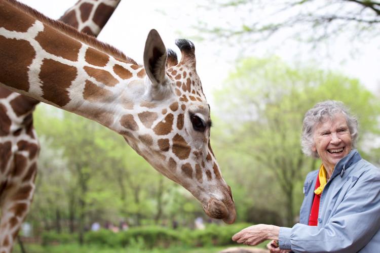 Photo of Anne Innis Dagg and giraffe