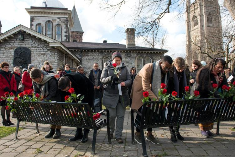 Photo of memorial roses