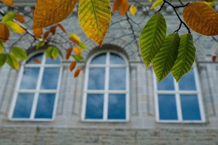 Leaves on campus in fall