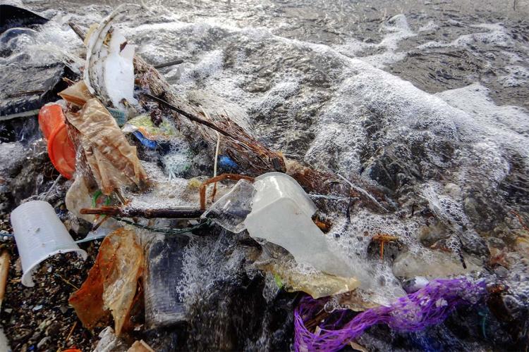 Plastic garbage washes up on shore