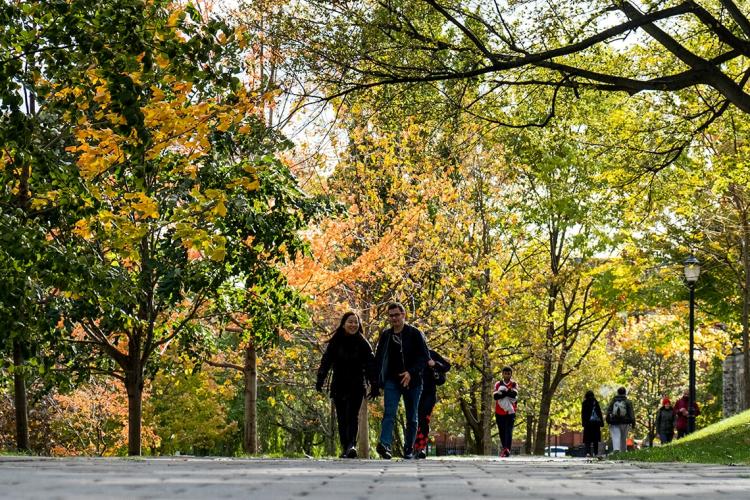 Students walking on campus