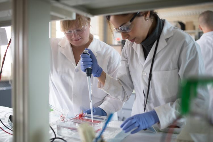 Photo of researchers in lab