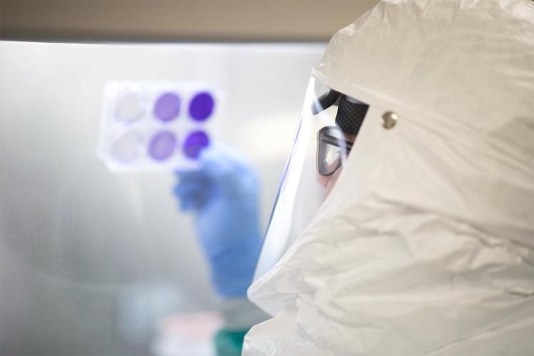 A lab technician look at samples under a fume hood in U of Ts CL3 lab