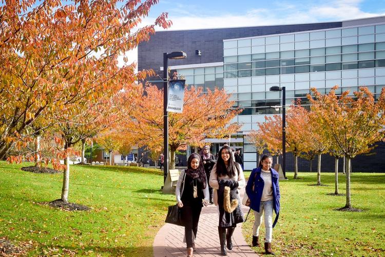 Campus in fall