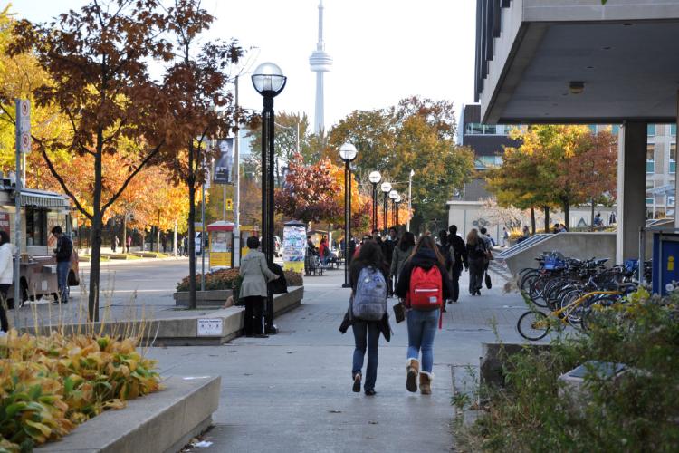 Photo of students on campus