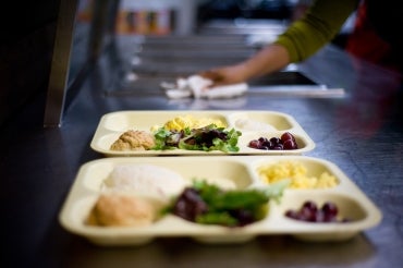 Photo of meal being served