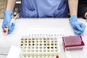 A researcher stands over a lab bench