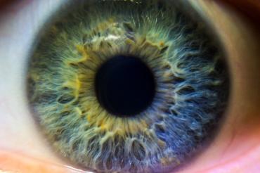 close up of a human eye