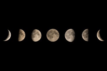 phases of the moon