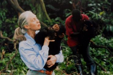 Photo of Jane Goodall