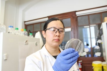 Photo of researcher Yimu Zhao holding the Biowire II