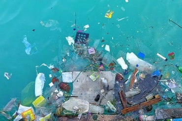 Photo of plastic pieces floating in the ocean