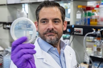 Daniel Schramek examines a petri dish