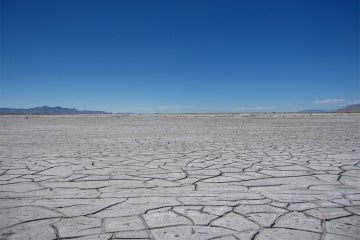 Cracked earth at the Great Salt Lake